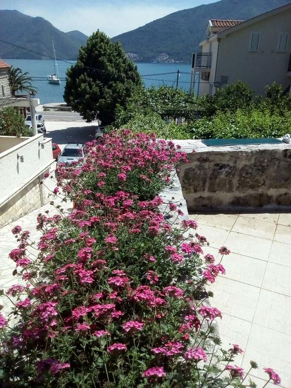 Apartmani Villa Radovic Risan Exterior photo