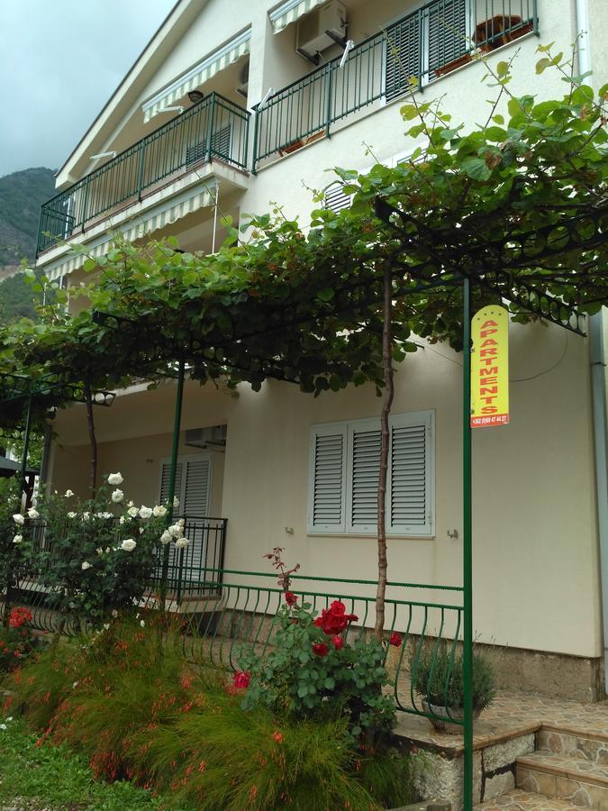 Apartmani Villa Radovic Risan Exterior photo